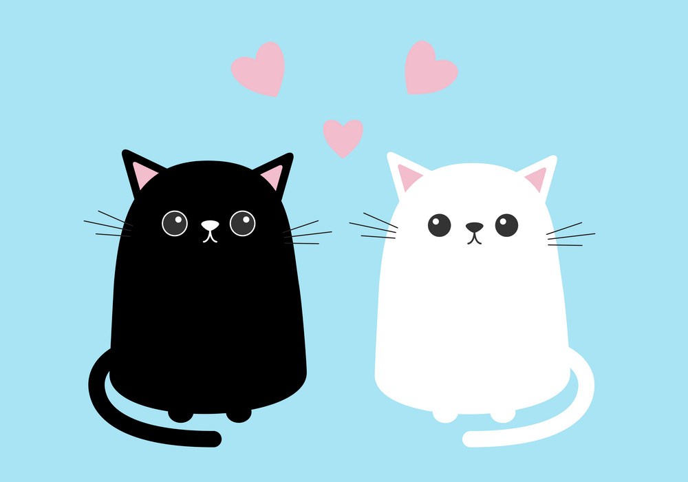 Вязка британских кошек - картинка с влюбленными котами