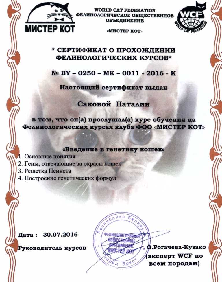 сертификат о прохождении фелинологических курсов заводчика британских и шотландских кошек - Наталии Саковой